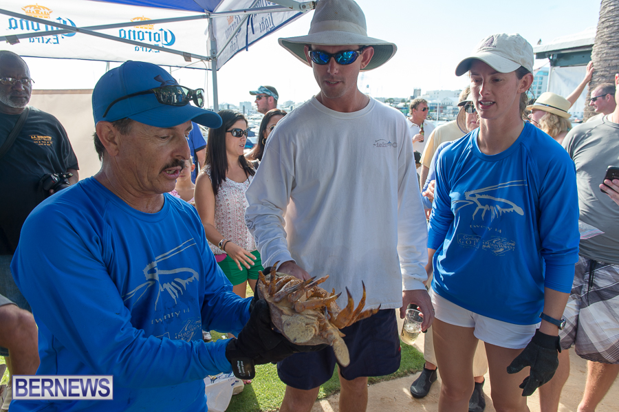 Makin-Waves-Lobster-Tournament-Bermuda-2014-50