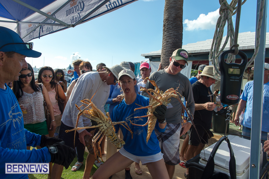 Makin-Waves-Lobster-Tournament-Bermuda-2014-51