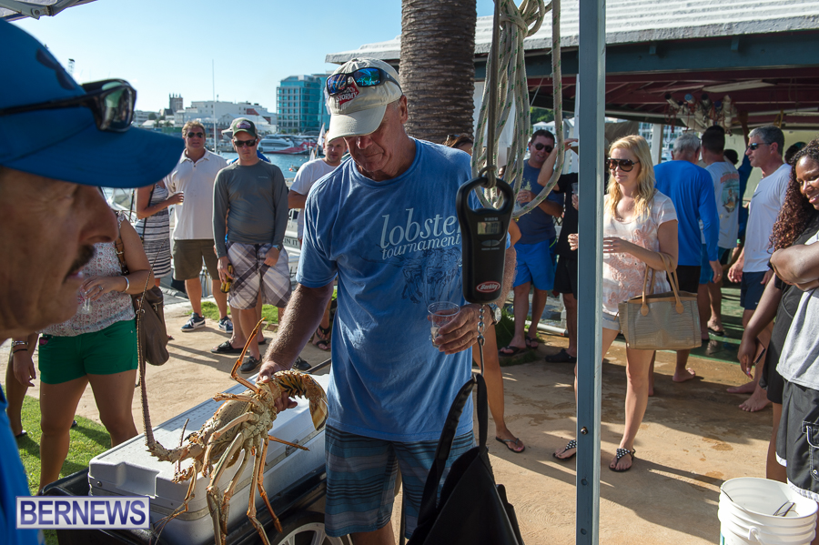 Makin-Waves-Lobster-Tournament-Bermuda-2014-55