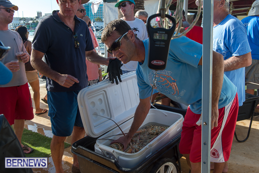 Makin-Waves-Lobster-Tournament-Bermuda-2014-60