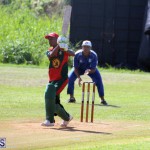 Cricket Bermuda September 10 2017 (14)
