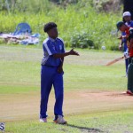 Cricket Bermuda September 10 2017 (16)