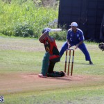 Cricket Bermuda September 10 2017 (18)