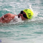 Open Water Bermuda – National Swimming Championships Sept 2017 (10)