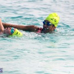 Open Water Bermuda – National Swimming Championships Sept 2017 (15)