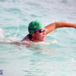 Open Water Bermuda – National Swimming Championships Sept 2017 (18)