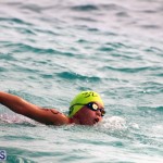 Open Water Bermuda – National Swimming Championships Sept 2017 (6)