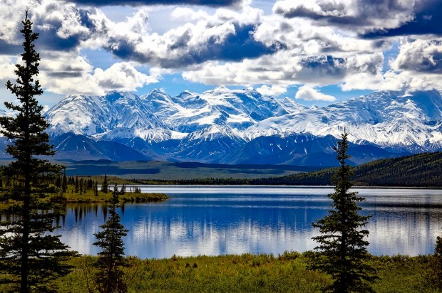 denali-national-park-1733313_960_720