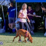 International Dog Show Bermuda, October 21 2017_8159