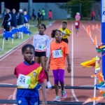 Bermuda Running, Nov 25 2017 (35)