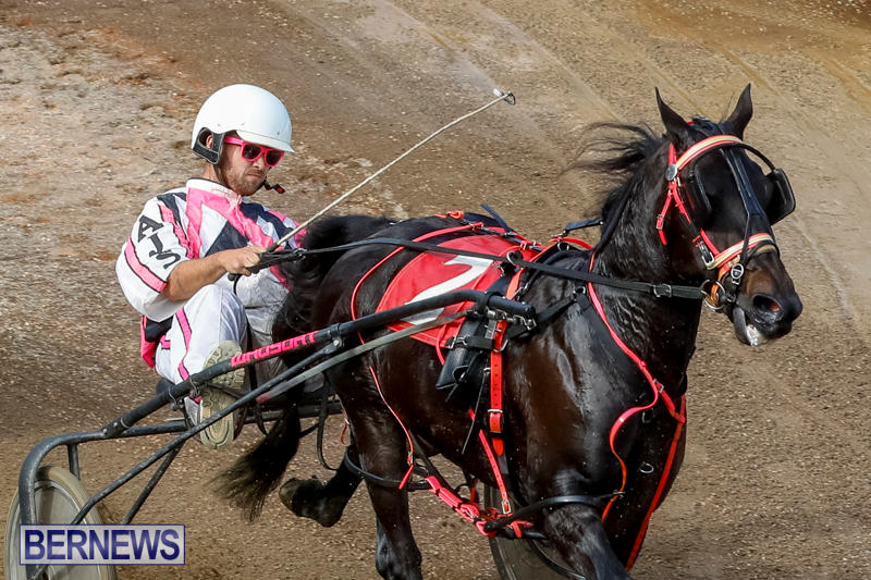 Harness-Pony-Racing-Bermuda-November-13-2017_7436