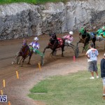 Harness Pony Racing Bermuda, November 13 2017_7439