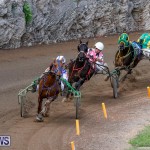 Harness Pony Racing Bermuda, November 13 2017_7441