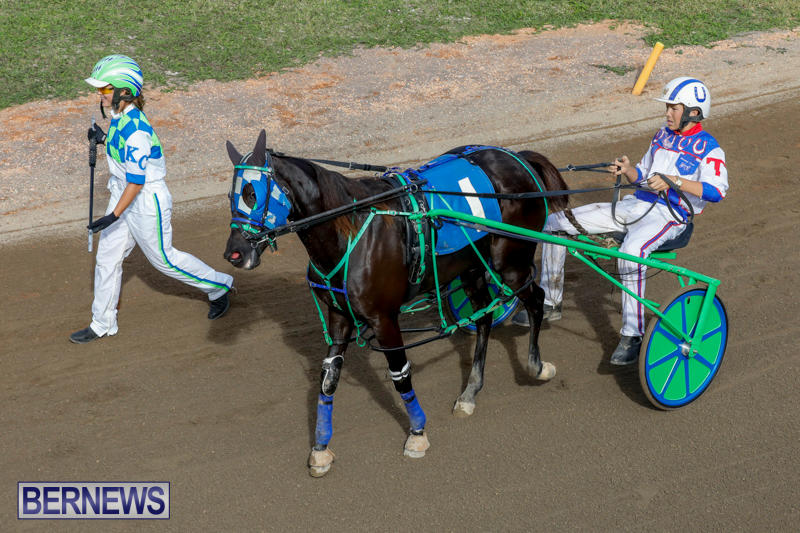 Harness-Pony-Racing-Bermuda-November-13-2017_7482