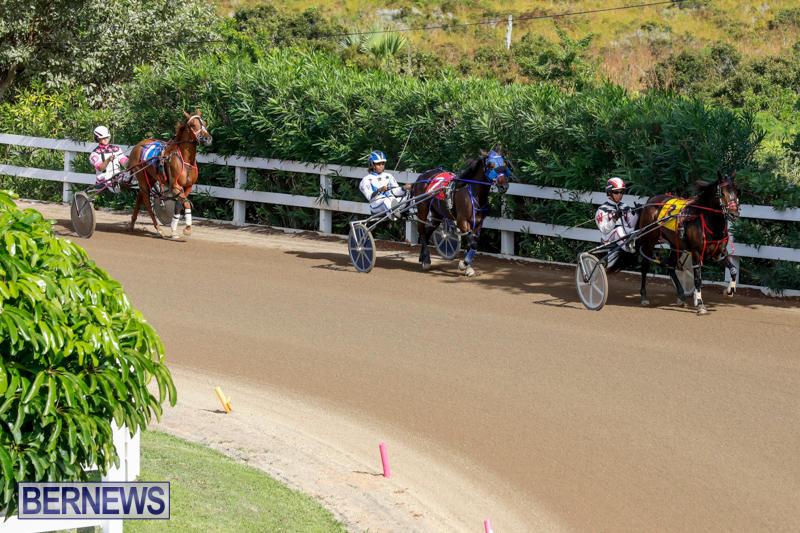 Harness-Pony-Racing-Bermuda-November-13-2017_7488
