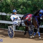 Harness Pony Racing Bermuda, November 13 2017_7489