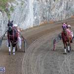 Harness Pony Racing Bermuda, November 13 2017_7533