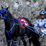 Harness Pony Racing Bermuda, November 13 2017_7558