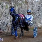 Harness Pony Racing Bermuda, November 13 2017_7559
