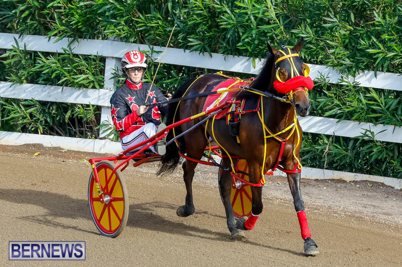 Harness-Pony-Racing-Bermuda-November-13-2017_7708