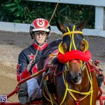 Harness Pony Racing Bermuda, November 13 2017_7715