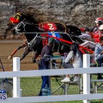 Harness Pony Racing Bermuda, November 13 2017_7784