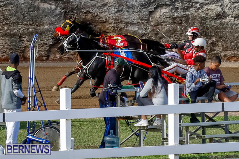 Harness-Pony-Racing-Bermuda-November-13-2017_7784