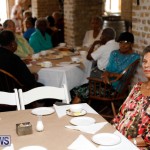 Seniors Tea Bermuda, November 8 2017_4431