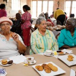 Seniors Tea Bermuda, November 8 2017_4442