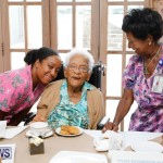 Seniors Tea Bermuda, November 8 2017_4458