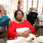 Seniors Tea Bermuda, November 8 2017_4470