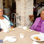 Seniors Tea Bermuda, November 8 2017_4485
