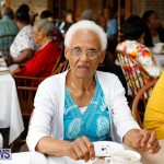 Seniors Tea Bermuda, November 8 2017_4490