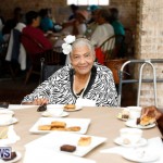 Seniors Tea Bermuda, November 8 2017_4495