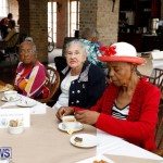 Seniors Tea Bermuda, November 8 2017_4496