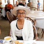 Seniors Tea Bermuda, November 8 2017_4497