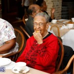 Seniors Tea Bermuda, November 8 2017_4505