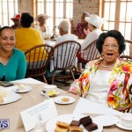 Seniors Tea Bermuda, November 8 2017_4514