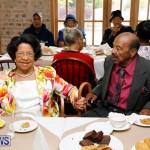Seniors Tea Bermuda, November 8 2017_4516