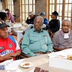 Seniors Tea Bermuda, November 8 2017_4520