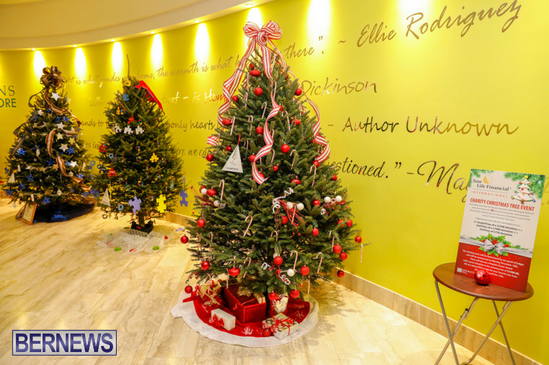 Charity-Christmas-Tree-Event-Washington-Mall-Bermuda-December-11-2017-4456