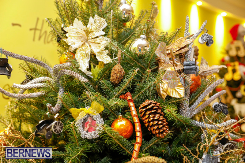 Charity-Christmas-Tree-Event-Washington-Mall-Bermuda-December-11-2017-4483