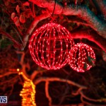 Festival of Lights Christmas Decorations Lights Bermuda, December 22 2017-7542