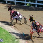 Harness Pony Racing Bermuda, December 17 2017-5361