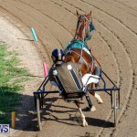 Harness Pony Racing Bermuda, December 17 2017-5367