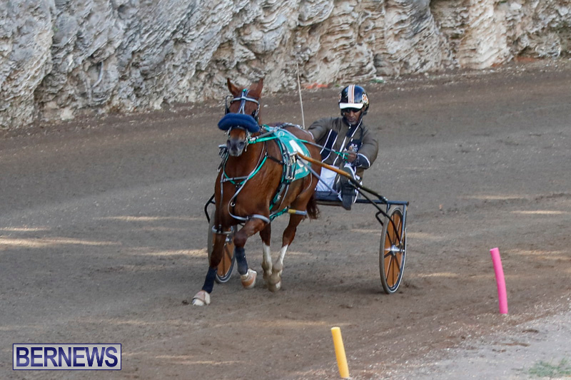 Harness-Pony-Racing-Bermuda-December-17-2017-5412