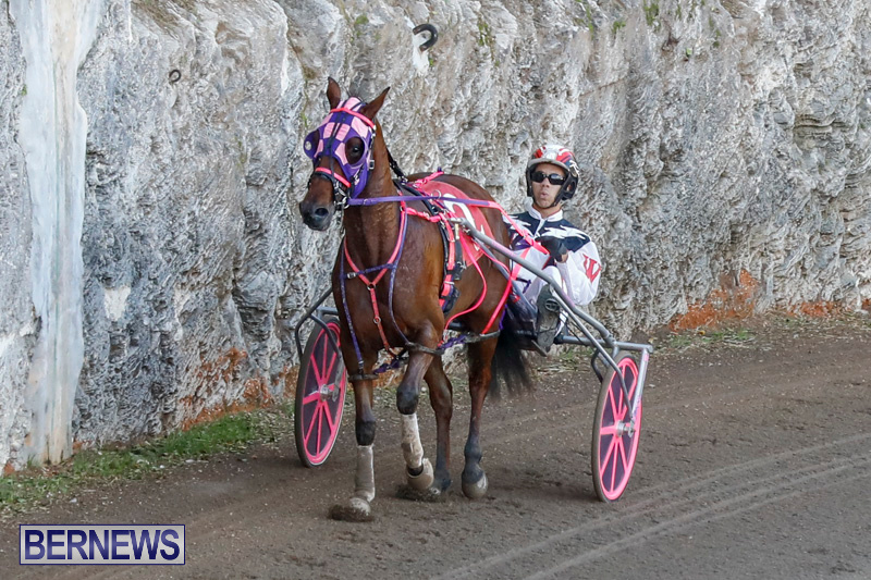 Harness-Pony-Racing-Bermuda-December-17-2017-5420