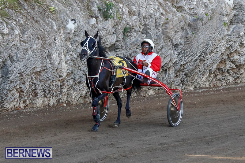Harness-Pony-Racing-Bermuda-December-17-2017-5480