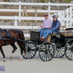 Harness Pony Racing Bermuda, December 26 2017-8239