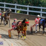 Harness Pony Racing Bermuda, December 26 2017-8366